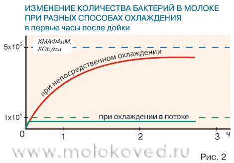 сравнение роста бакобсемененности от способа охлаждения молока