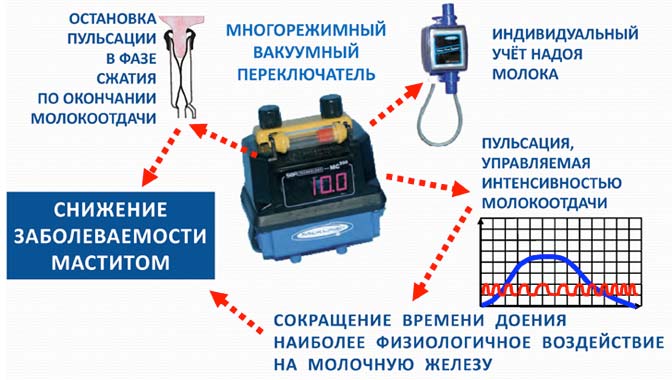 управление пульсацией по молокоотдаче